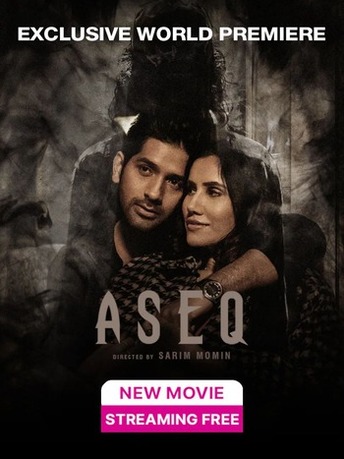 ASEQ-2022-in-Hindi-Hdrip full movie download ok-hindi.com okbeen