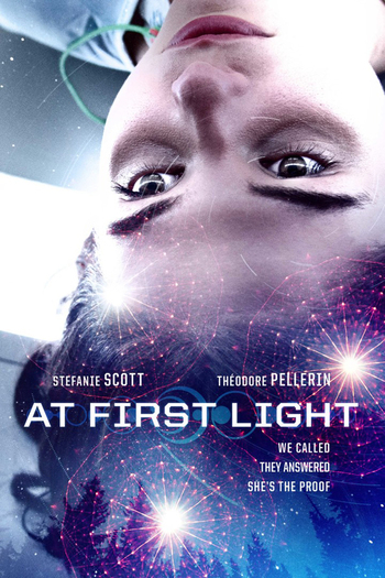 At-First-Light-2018-Hindi-Dubbed-Hdrip full movie download ok-hindi.com okbeen